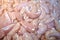 Closeup meat chicken background