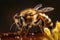 closeup medicine background insect honey nature gold bee macro pollen yellow. Generative AI.