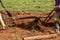 Closeup of metal manual plow being used to prepare tobacco field for planting