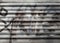 Closeup of metal roller shutter with graffiti