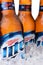 Closeup of Miller Light Beer Bottles