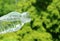 Closeup mineral water dropping from plastic bottle with green foliage in the backdrop