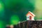 Closeup miniature house on green nature background