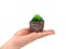 Closeup minimal flower in pot on Asian woman`s hand