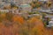 Closeup modern buildings downtown centre center in Montreal Quebec Canada during fall with yellow autumn tree foliage leaves leaf