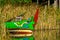 Closeup of a modern colorful painted rowing boat in the water, Oriental nature background