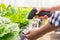 Closeup of modern farmer checking organic vegetables identification with barcode scanner in hydroponics farm futuristic scanning