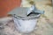 Closeup mortar pan for plastering walls with cement bucket in construction site