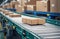 Closeup of multiple cardboard box packages moving along conveyor belt in a ecommerce warehouse