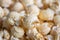 Closeup Mushroom popcorn varieties
