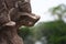 Closeup of Naga at Phnom Rung, Buriram`s Khmer temple on volcano, in Thailand