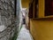 Closeup of a narrow alley between dilapidated houses