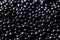 Closeup of natural black caviar as background, texture of expensive luxury fresh sturgeon caviar macro photo.