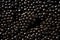 Closeup of natural black caviar as background, texture of expensive luxury fresh sturgeon caviar macro photo.