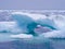 Closeup of natural ice arch with iceberg filled scenery in Twillingate Harbour