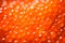 Closeup of natural red caviar as background, texture of expensive luxury fresh orange caviar macro photo