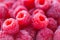 Closeup of natural tasty colourful raspberry with copy space