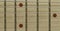 Closeup neck guitar