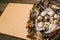 Closeup nest with quail eggs and feather beside sheet of paper for text on wood