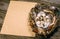 Closeup nest with quail eggs and sheet of paper for text on wood