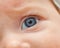 Closeup of newborn blue eye.