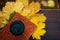 Closeup on notebook, yellow leaves and cup of coffee on bench