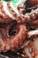 Closeup Octopus Sashimi