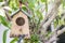 Closeup old little wooden house for bird hang at tree in the garden textured background