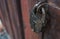 Closeup of old lock on red metal door. Old iron lock on the door.