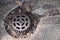 Closeup of old metal grille on the drainage pipe