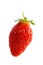 Closeup on the old and much-loved french gariguette strawberries variety, on white