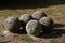 Closeup of old stone cannonballs on the ground, outdoors during daylight