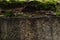 Closeup old stone with green moss. Gray stone with green moss texture background