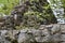 Closeup of old stone ruins of a forgotten lodge surrounded by greenery