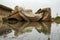 Closeup of old, unused concrete crash barriers on a flooded ground