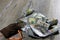 Closeup of one hundred dollar bills of American dollars and a money sack with different coins of the world on a gray wooden table