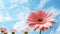 Closeup of one pink blooming Gerbera flower with blue sky as background. Generative AI