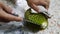 Closeup Opening or peeling Durian by chef\'s hands at Fruit vendor shop