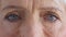 Closeup for optical vision exam of a senior woman looking for glasses to improve her eyesight. Eyes of a mature female