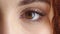 Closeup for optical vision exam of a woman looking for lenses or glasses to improve eyesight. Face portrait of a young