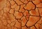 Closeup of an orange-hued desert ground texture