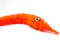 Closeup of an orange magic twisty worm. children`s toys.