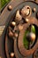 Closeup ornament of wrought iron fence gate