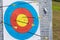 Closeup on outdoor archery target board with arrows