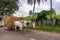 Closeup of Oxen pulling wagon loaded up with straw, Hampi, Karnataka, India