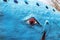 Closeup of the painted eye of the Blue Whale - a free roadside attraction on old Route 66 - with details of rough painting on