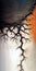 Closeup Painting of a Tree: Black, Orange, and White Colors with Cracked Ground