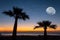 Closeup pair of palm tree silhouette on a sea coast under a half moon before a sunrise