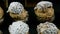 Closeup panorama down on rows of french desserts choux pastry filled with caramel cream