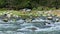 Closeup panorama right at wide mountain river stream with big stone rapids